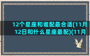 12个星座和谁配最合适(11月12日和什么星座最配)(11月 12月星座)